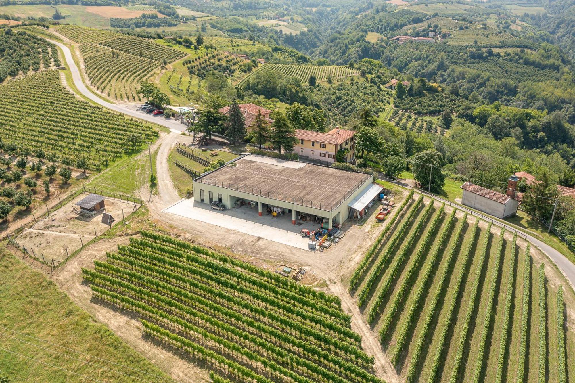 Agriturismo Cantine Bevione - Family Apartments Farigliano Extérieur photo